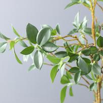 Dirbtinių Lapų Šaka Dirbtinė Žalumynų Dirbtinių Augalų Koteliai Virtuvės Valgomojo Stalo Biuro Sodo 113cm Type 2 gray