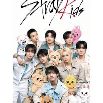 Popular Kpop S-Stray Kids 5D DIY Full Round Diamond Painting Home Living Room Bedroom Aesthetic Bar Round 20x30cm