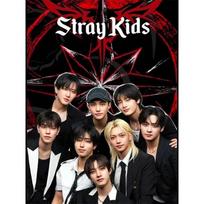 Popular Kpop S-Stray Kids 5D DIY Full Round Diamond Painting Home Living Room Bedroom Aesthetic Bar Round 30x40cm