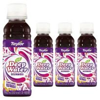 Taylor Giliųjų vandenų sultys 180ml (Prunės / Kombucha / Slyvos / Greipfrutai / Citrinos) Prune 180ml x 4