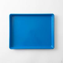 Pet Cage Tray Rectangular Thickened Plastic Waste Collection Pan for Cats, Dogs, Rabbits, Birds, Blue Rolled Edge Thickened