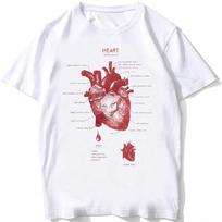 Whale Shark Anatomy Biology T-shirt Unisex Women Hip Hop Casual T Shirts Women Beach Diving White Tshirt Vintage women Tees 4XL white