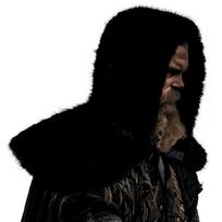 Vikingų kailių apykaklė Karininko apsiausto skara Viduramžių riterio peties apdangalas Skara Helovino Renesanso Cosplay kostiumai juoda