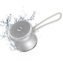 EWA A106 Pro Mini Bluetooth garsiakalbis su pasirinktiniu žemųjų dažnių radiatoriumi, IPX7 atsparus vandeniui, ypač nešiojami garsiakalbiai, supakuotas kelioninis dėklas pilka
