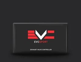 Seletron Performance EVC – SPORT for Audi TT (8S) 2014+ 2.0 TTS