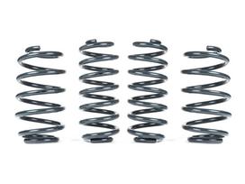 RacingLine Sports Spring Kit/A5 Platform/Golf 6R/Jetta Gli