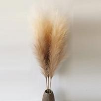 1 vnt. Dirbtinė pampų žolė 120 cm Didelė Pūkuota Dirbtinis Nendrė Dirbtinės Gėlės Dekoratyvinė Uodegos Žolė Puokštė Boho Namų Dekoras Vestuvių Reikmenys Aksesuarai gelsvai ruda