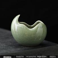 Ceramic Orchid & Succulent Planter: Luxury Style for Phalaenopsis, Money Tree & Asparagus Fern. Ceramic with Holes