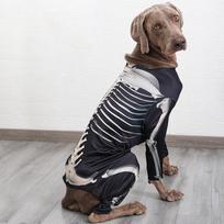Šuns Skeletas Helovino Kostiumas Apranga Patogi Dekoracija Cosplay Apranga Augintiniui Šventei S black