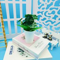 Dirbtinis žalias augalas Bonsai Plastikiniai augalai Namų Interjeras Svetainė Kavos staliukas Žalio lapo vazoniniai augalai Balkonas Green lotus leaves blue