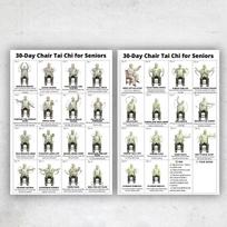 Exercise Plan Poster For Seniors 30 Day Home Fitness Guide Daily Illustrated Workouts Coated Paper gray