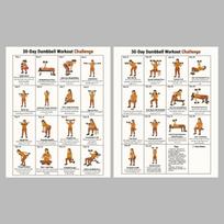 Exercise Plan Poster For Seniors 30 Day Home Fitness Guide Daily Illustrated Workouts Coated Paper white