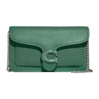 Coach Green Pebbled Leather Flap Chain Crossbody Bag with Silver Hardware for Daily Use Basic Set (Bag+Dust Bag) gray