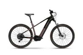Elektrinis dviratis Haibike ALLTRACK 6 29 High 800Wh