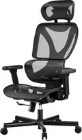 Wiltec ergonominė biuro kėdė su reguliuojamu galvos atlošu ir porankiais, 150 kg, 64984