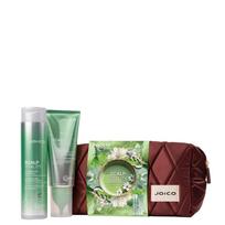 JOICO Scalp Vitality Dreamscape Duo Gift Set