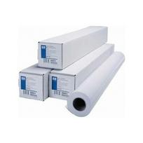 HP Professional Photo Papier do plotera w roli 300 g 610mm x 15m (Q8759A) | Q8759A | 0848412013542
