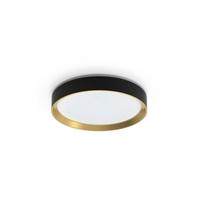 Šviestuvas plafonas Philips, LED, 24W, 4000K, 2700lm, Ø38.4