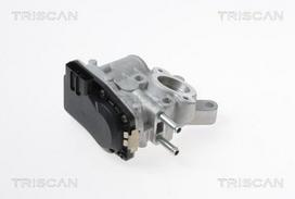 TRISCAN EGR vožtuvas 8813 14100