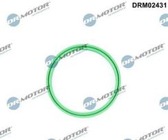 Dr.Motor Automotive Tarpiklis, turbinos oro žarna DRM02431