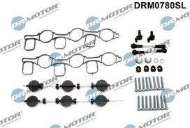 Dr.Motor Automotive Remonto komplektas, įsiurbimo kolektoriaus modulis DRM0780SL