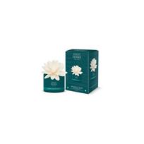 Sweet Home Collection Black Juniper & Tuberose Diffuser - aromato difuzorius, 200ml