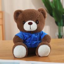 Cute dressed bear teddy bear doll plush toy hug bear doll children rag doll girl birthday gift 25cm（0.18kg） orange