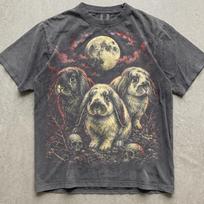 Goth Bunny Shirt, Gothic Rabbit Moon Tee, Holland Lop Bunny Shirt, Dark Cottagecore Graphic Tee, Spooky Bunny Gift, Halloween Shirt Gift 110 gray