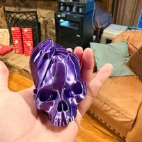 3D Printed Articulated Skull Fidget Toy Flexible Extendable Skeleton Head Anti-Stress Sensory Desk Toy Novelty Gag Gift