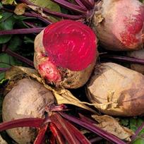 Korėjietiški Haenam ekologiški raudonieji burokėliai 1 vnt 3 kg red