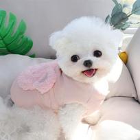 Dog clothes Teddy Pomeranian VIP cotton coat thickened winter traction Bichon small puppy cat autumn and winter clothing M back length 30cm (recommended 5-7 pounds) white