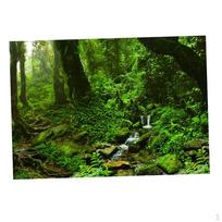 Sided Aquarium Background Backdrop Fish Reptile Vivarium Marine 61x41cm black