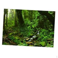 Sided Aquarium Background Backdrop Fish Reptile Vivarium Marine 122x46cm