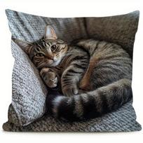 1Pc Lazy Tabby Cat Cuddling Printed Throw Pillow Cover, Suitable For Sofa, Bedroom, Living Room,A Healing Gift For Cat Lovers. Short plush 40*40(CM)-1Pcs gray