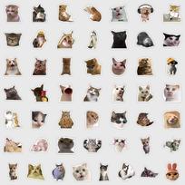 50PCS Cartoon Abstract Cat Graffiti Stickers Cute Style Meme Exquisite DIY Toys for Bottle Scrapbook Travel Bag Aesthetic Decals white