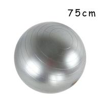 45–85 cm Didelis jogos kamuolys PVC Pripučiamas jogos praktikos kamuolys Storas sporto salės fitneso kamuolys Pratimams Namų fitnesas Pilatesas Sportinis balanso kamuolys gray