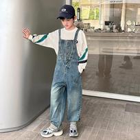 Vaikams Džinsinis Kombinezonas Dungarees Paaugliams Berniukams Mada Gatvės Apranga Kombinezonai Vaikui Petnešėlės Džinsai Petnešėlės Prijuostės Kelnės Džinsiniai Drabužiai 120cm mėlyna