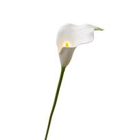 Artificial Calla Lily Flower Stem EVA Foam Material Realistic Texture Single Stem for Home Office Wedding Decoration Floral Arrangement One Size balta