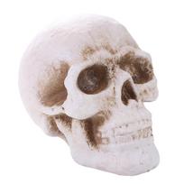Bonfire Accessories Pottery Fire Pit Skull Reusable White Simulation Skull Ornament Refractory Halloween Skull Props Bar balta
