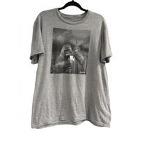 Empire State Building King Kong Selfie Graphic T-Shirt Gray Mens Large NYC Tee Unisex T-Shirt M gray