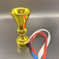 Italian Cup Football Trophy Replica - Coppa Italia Electroplated Resin Trophy Laser Engraving auksas