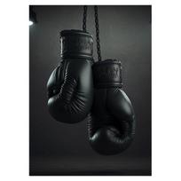 Bokso Pirštinės Premium Spaudiniai Plakatas Drobė Tapyba Modernus Sienų Menas Paveikslas Svetainė Miegamasis Namų Bokso Salės Dekoracija 30x40cm no frame