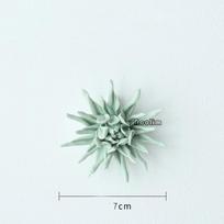Keraminės lelijos gėlių amatai Cereus sienos pakabinamas ornamentas Svetainės televizoriaus fono sienų apdaila O