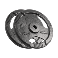 REBEL ACTIVE ketaus svorių diskai, 2 x 10 kg, 31 mm anga, su rankenomis