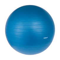 REBEL ACTIVE reabilitacinis gimnastikos kamuolys su rankine pompa, 75 cm, mėlynas