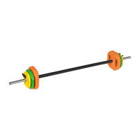 REBEL ACTIVE surenkama štanga su ketaus svoriais, 140 cm grifas, 20 kg treniruočių komplektas