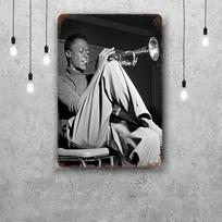 Miles Davis Vintažiniai Metaliniai Skardos Ženklai Plakatai Dekoras Retro Metalo Plokštelė Sienos Meno Dekoras Garažui Barui 20x30cm（7.8x11.8inch） gray