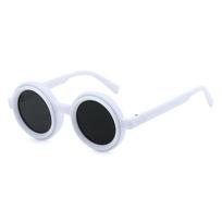 Vintage Round Steampunk Polarized Sunglasses For Men Women Outdoor Sport Goggle ND level Adjustable Dimming Sun Glasses UV400 white