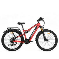 Electric Bike HedaTX TX19 1000W Peak 48V 19.2Ah 29 Inch Full Suspension Electric Mountain Bike-RED