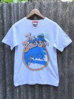 Mery Xmas Band Tees The Beach Boys Unisex S-234XL shirt D2038 Unisex T-Shirt M gray